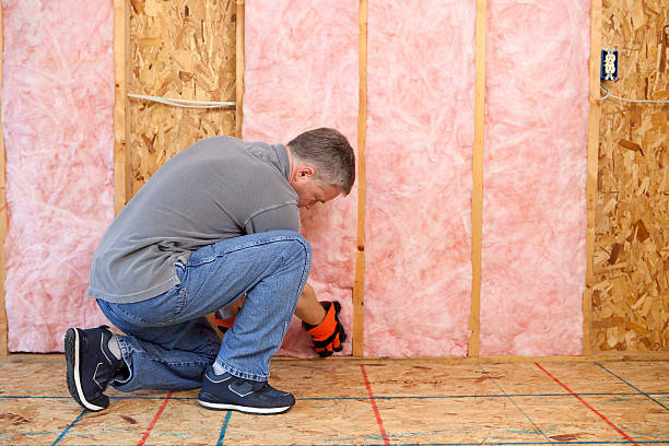 Best Insulation Maintenance and Repair in Bangor, WI